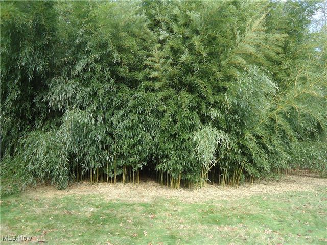 264 Kent Drive, Tallmadge, OH 44278