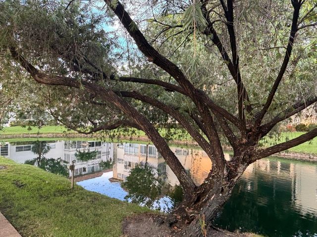 5171 W Oakland Park Boulevard 308, Lauderdale Lakes, FL 33313