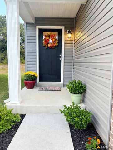 157 Day Lily Lane, Wentzville, MO 63385