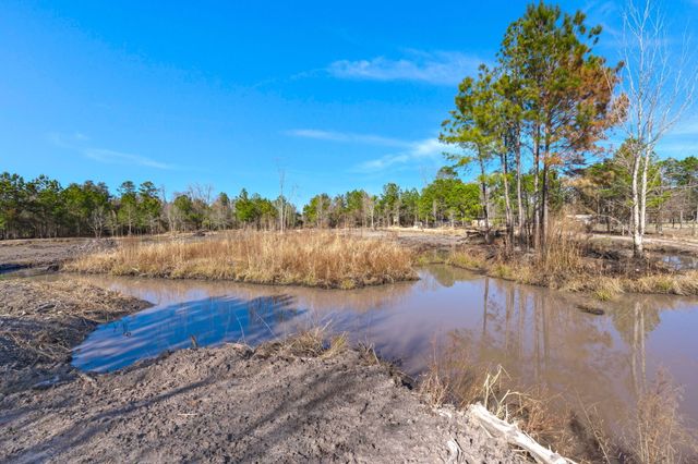 151 Grannys Lane, Saint George, SC 29477