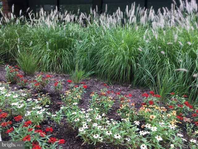 807 EASTERN POINT RD, Annapolis, MD 21401