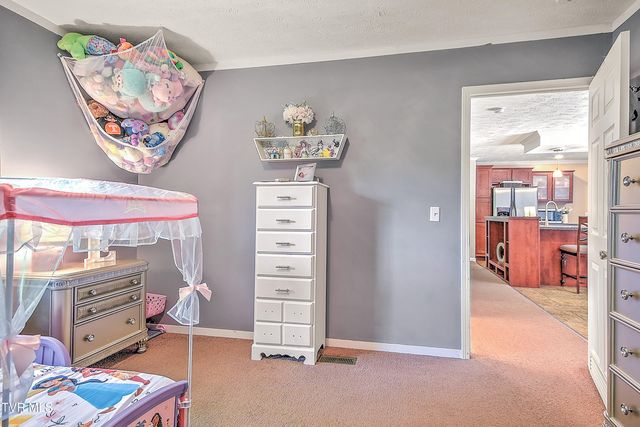 495 Deck Valley Road, Bristol, TN 37620