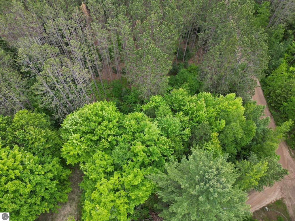 Image 3 of property listing at TBD Wintergreen, Farwell, MI 48622