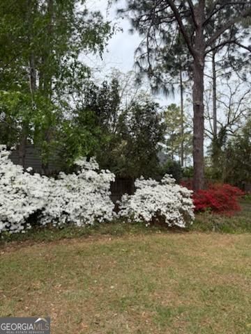 244 Surrey Lane, Statesboro, GA 30458