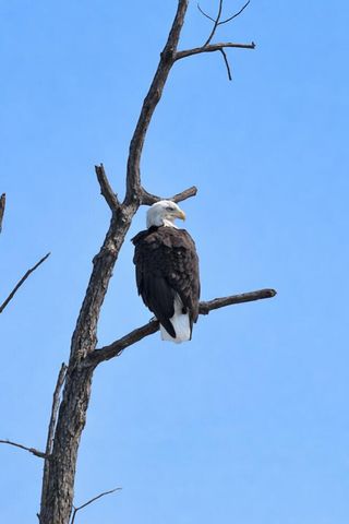 436 Shimmering Moon Drive, Somerset, KY 42503