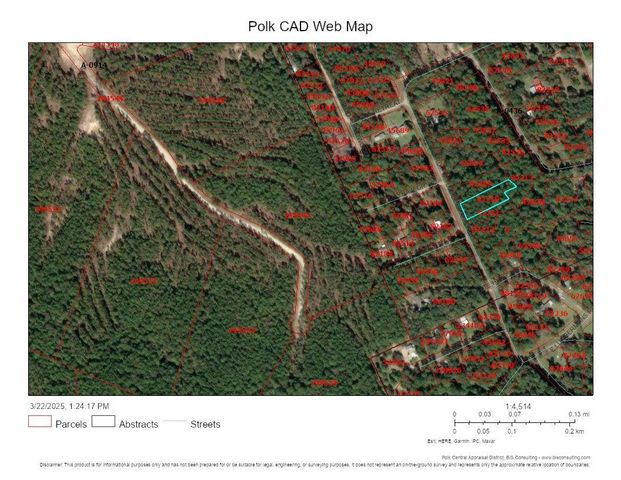 Lot 307 Lumbermans Road, Onalaska, TX 77360