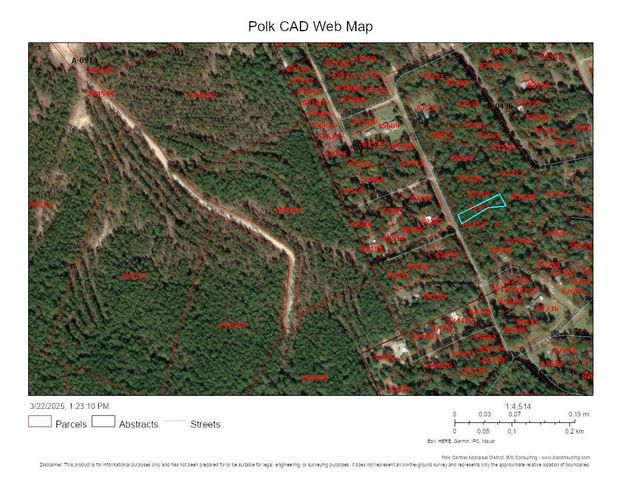 Lot 307 Lumbermans Road, Onalaska, TX 77360