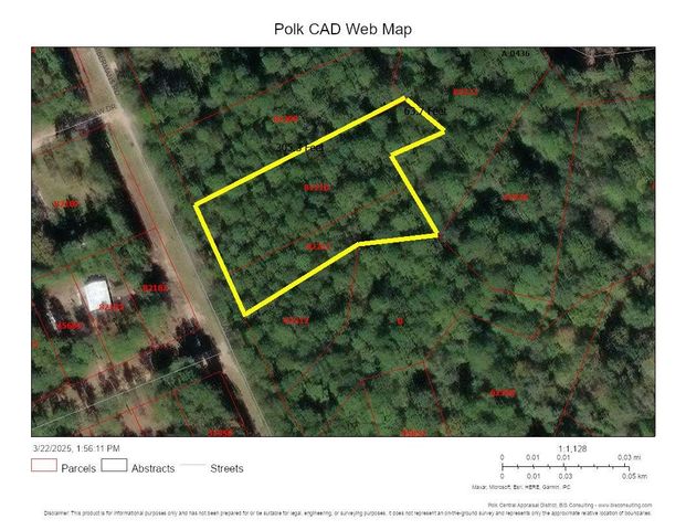 Lot 307 Lumbermans Road, Onalaska, TX 77360