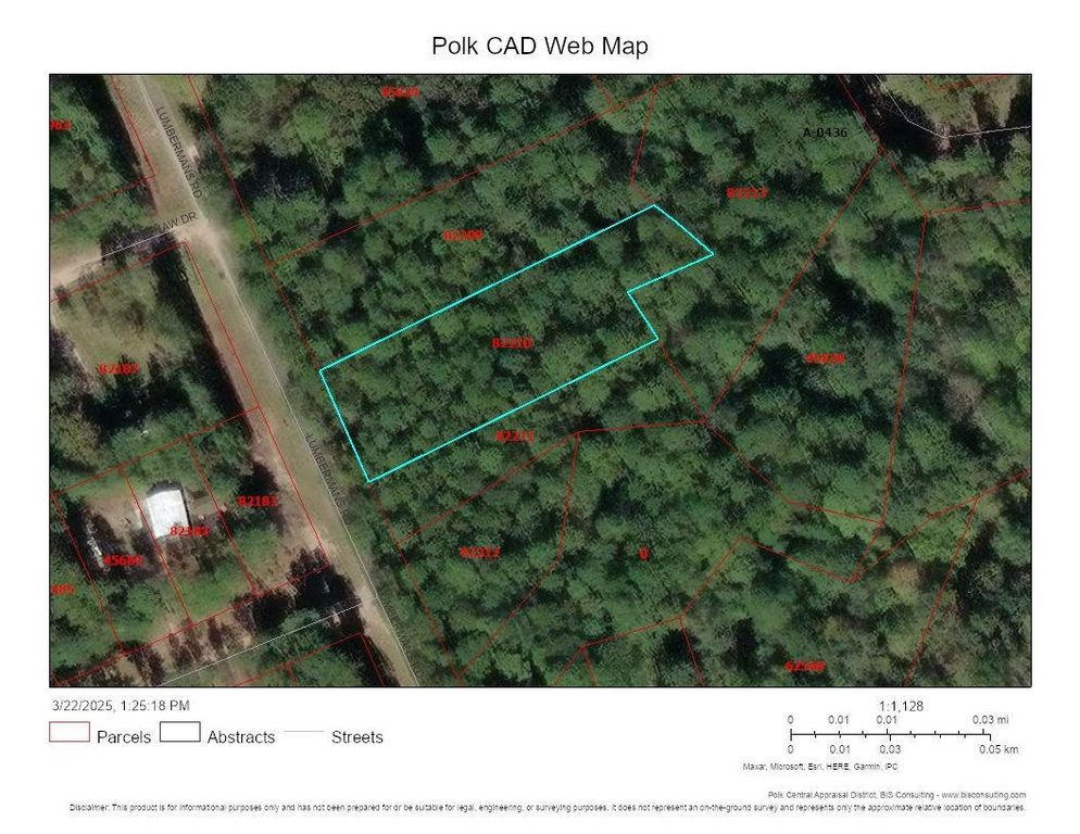 Lot 307 Lumbermans Road, Onalaska, TX 77360