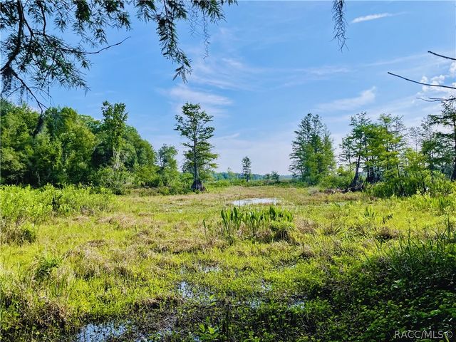 9433 S Great Oaks Drive, Floral City, FL 34436