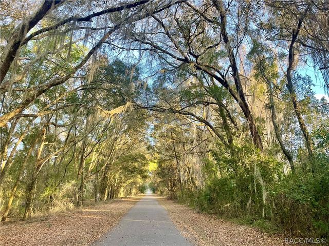 9433 S Great Oaks Drive, Floral City, FL 34436