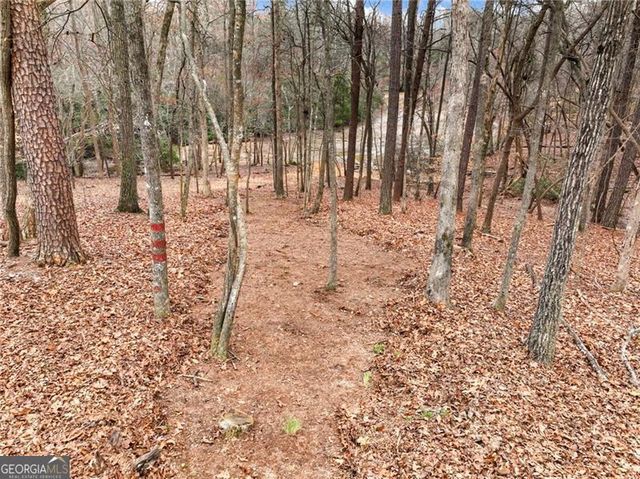 6650 Lake Run Drive, Flowery Branch, GA 30542