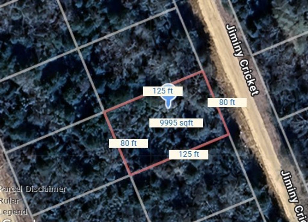 Lot 5 Jiminy Cricket, Normangee, TX 77871