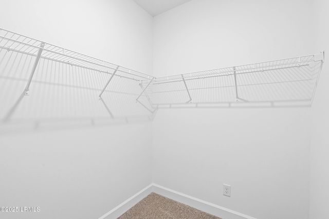 91 Silver Street # 102, Ridgeland, SC 29936