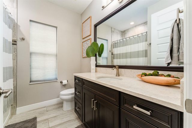 14610 RED CASTLE AVE, Lithia, FL 33547