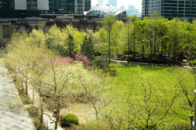 420 E WATERSIDE Drive 4114, Chicago, IL 60601