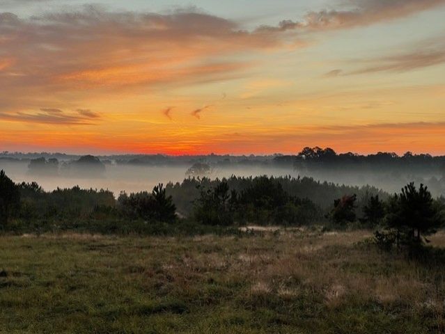 11476 FM 1716, Henderson, TX 75652