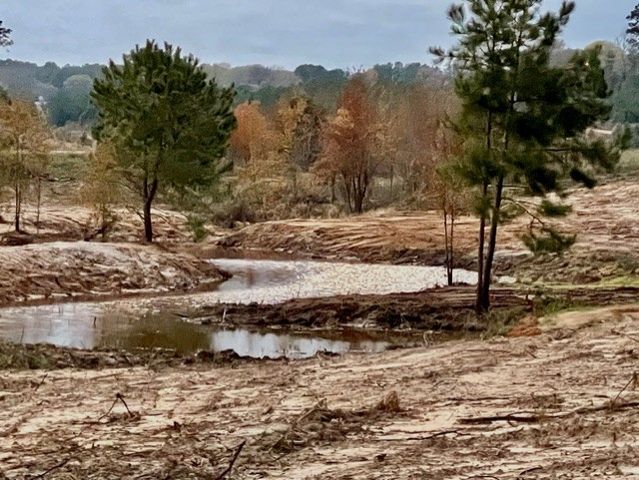 11476 FM 1716, Henderson, TX 75652