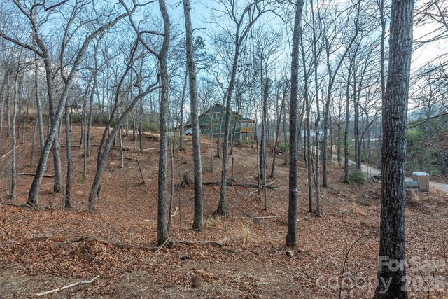115 Bartram Way, Black Mountain, NC 28711