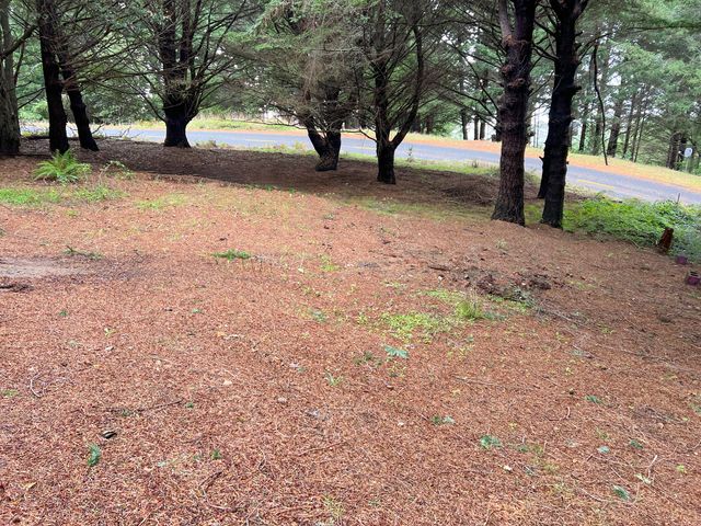 261 Parsons Road, Shelter Cove, CA 95589