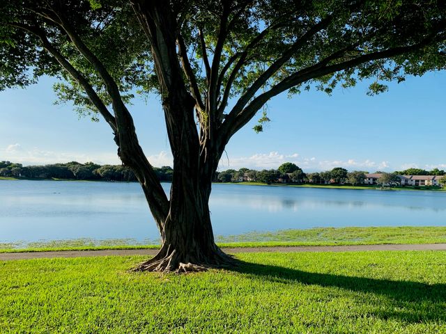 330 Palmwood Place P211, Boca Raton, FL 33431