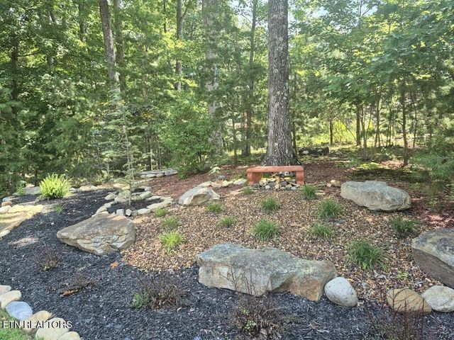 583 Cliff Park Rd, Monterey, TN 38574