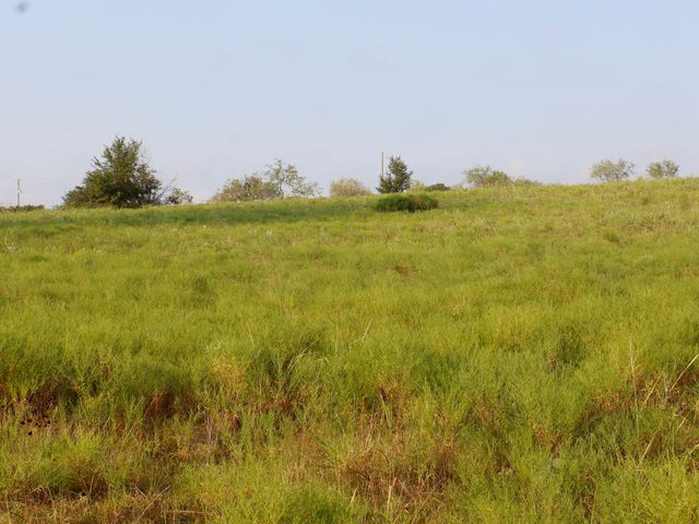 TBD Lot 1 Alsdorf Road, Ennis, TX 75119