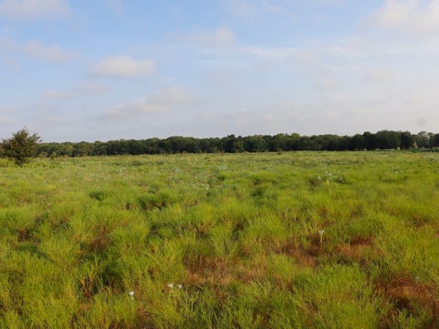 TBD Lot 1 Alsdorf Road, Ennis, TX 75119