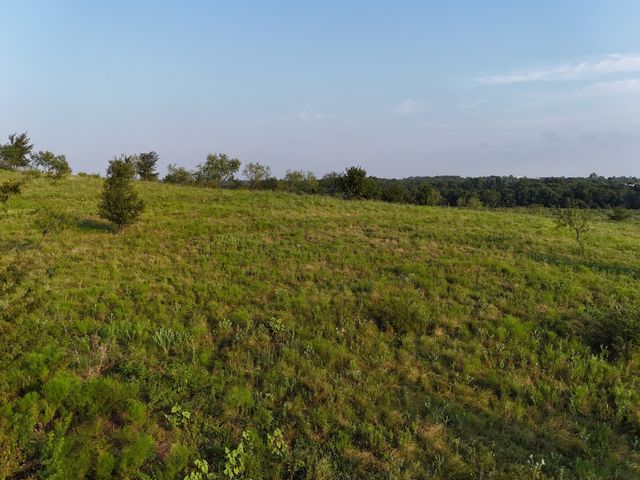 TBD Lot 1 Alsdorf Road, Ennis, TX 75119