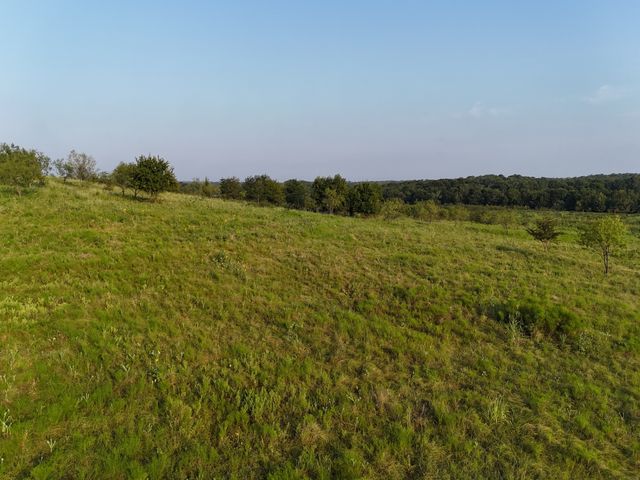TBD Lot 1 Alsdorf Road, Ennis, TX 75119