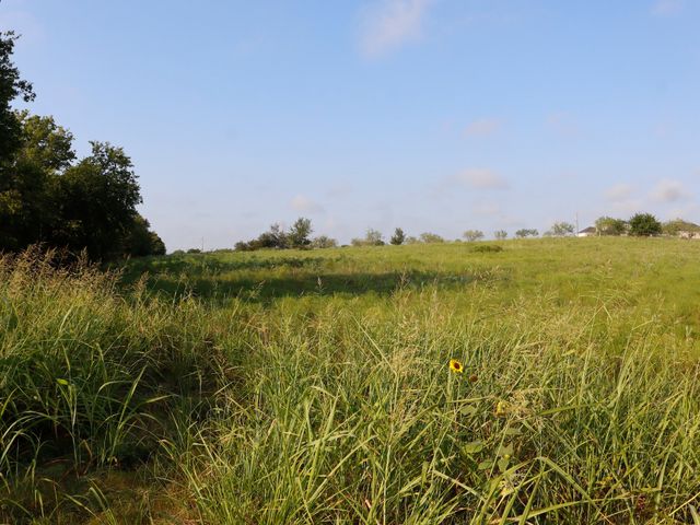 TBD Lot 1 Alsdorf Road, Ennis, TX 75119