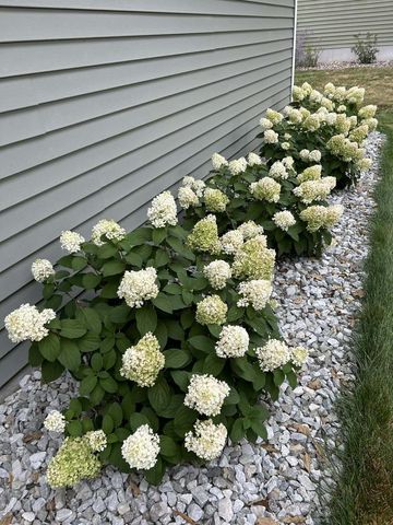 11358 Bemis STREET, Trempealeau, WI 54661