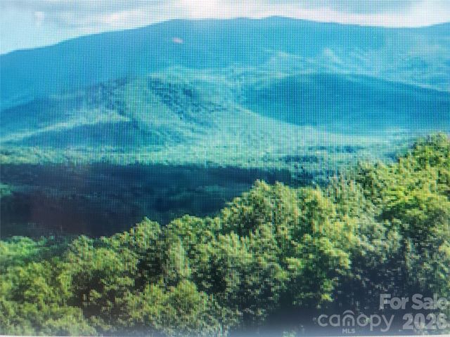 000 Justin Ridge M, Clyde, NC 28721