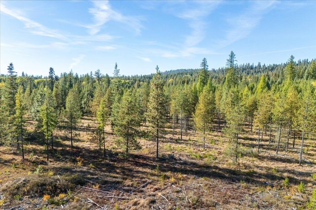 NKA Coyote Trail Trl, Newport, WA 98156