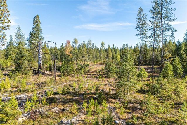 NKA Coyote Trail Trl, Newport, WA 98156