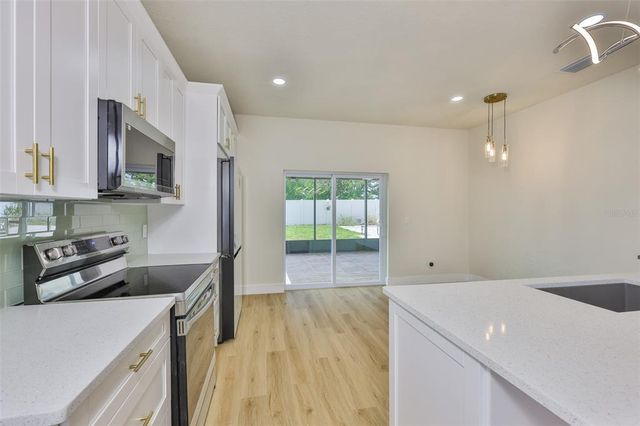 1007 GRAND CANYON DRIVE, Valrico, FL 33594