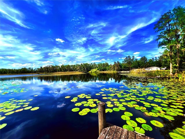 1012 KINGSBOROUGH GARDENS COURT, Lutz, FL 33548