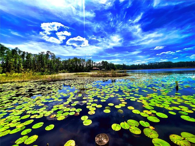 1012 KINGSBOROUGH GARDENS COURT, Lutz, FL 33548