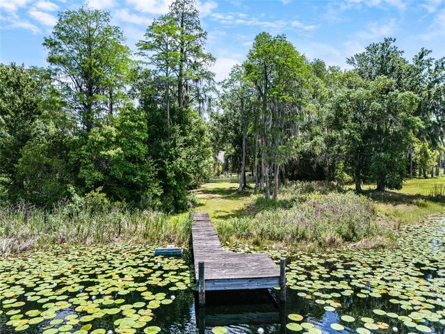1012 KINGSBOROUGH GARDENS COURT, Lutz, FL 33548