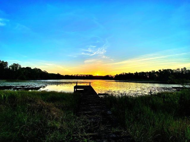 1012 KINGSBOROUGH GARDENS COURT, Lutz, FL 33548