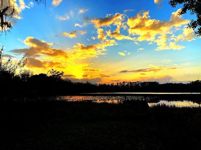 1012 KINGSBOROUGH GARDENS COURT, Lutz, FL 33548