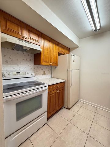 14308 HANGING MOSS CIRCLE 102, Tampa, FL 33613