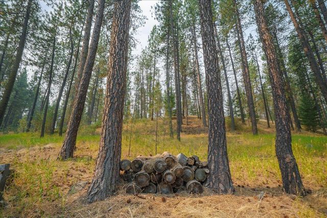 2505 N Christensen Rd, Medical Lake, WA 99022