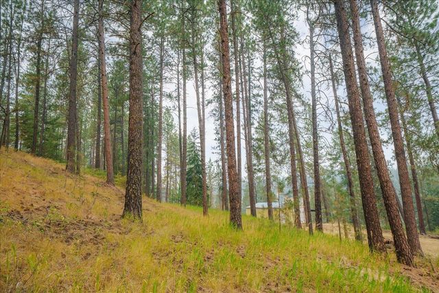 2505 N Christensen Rd, Medical Lake, WA 99022