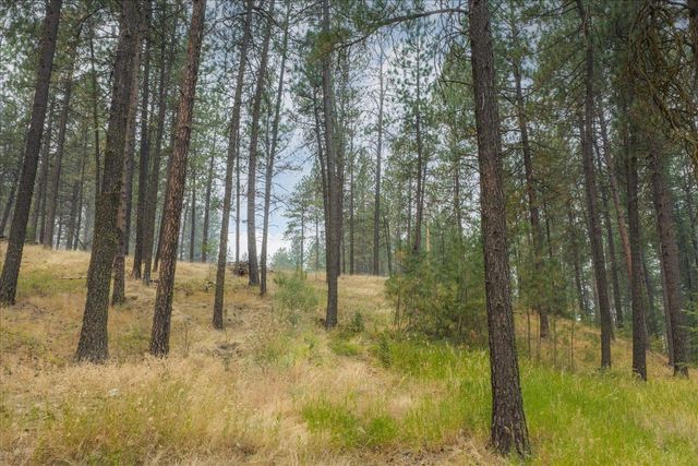 2505 N Christensen Rd, Medical Lake, WA 99022