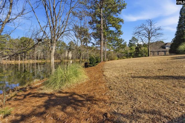 65 Nut Hatch Court, Columbia, SC 29223