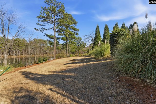 65 Nut Hatch Court, Columbia, SC 29223