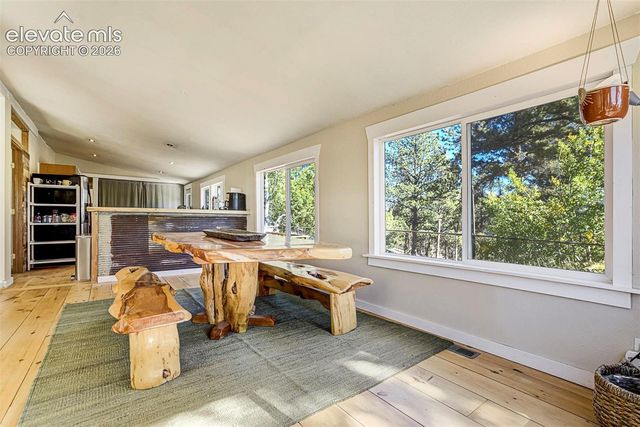 176 Chalk Circle Trail, Florissant, CO 80816