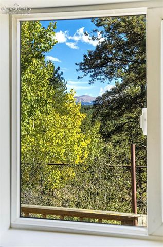 176 Chalk Circle Trail, Florissant, CO 80816