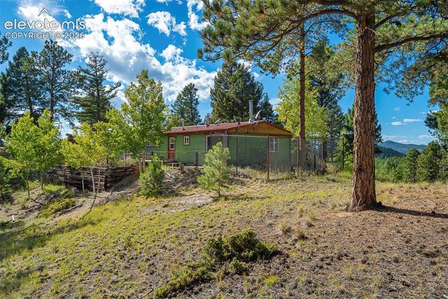 176 Chalk Circle Trail, Florissant, CO 80816